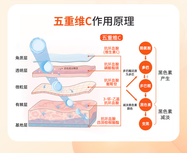 五重维C素颜霜_05.jpg